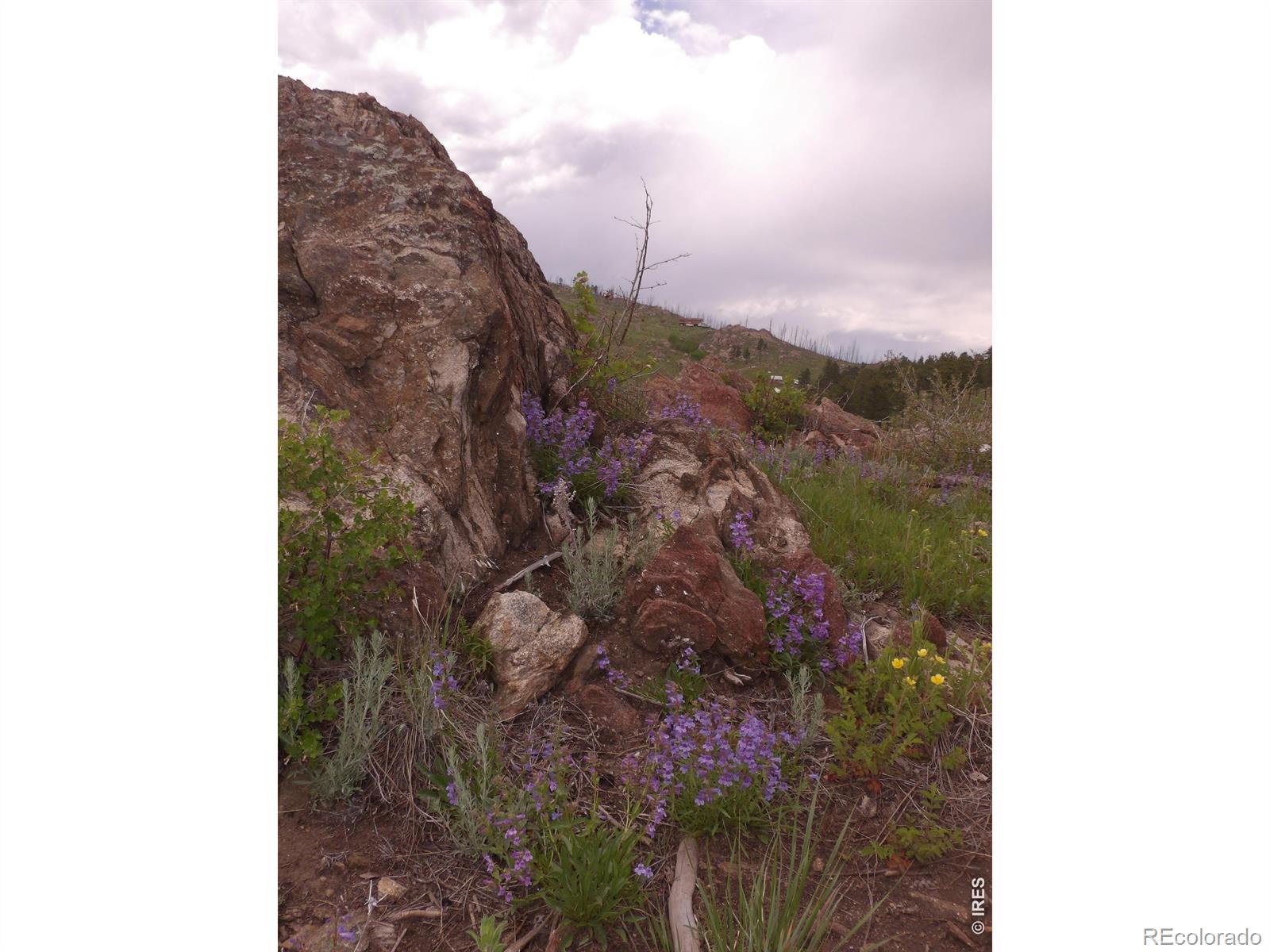 3434 Davis Ranch Road Bellvue CO 80512