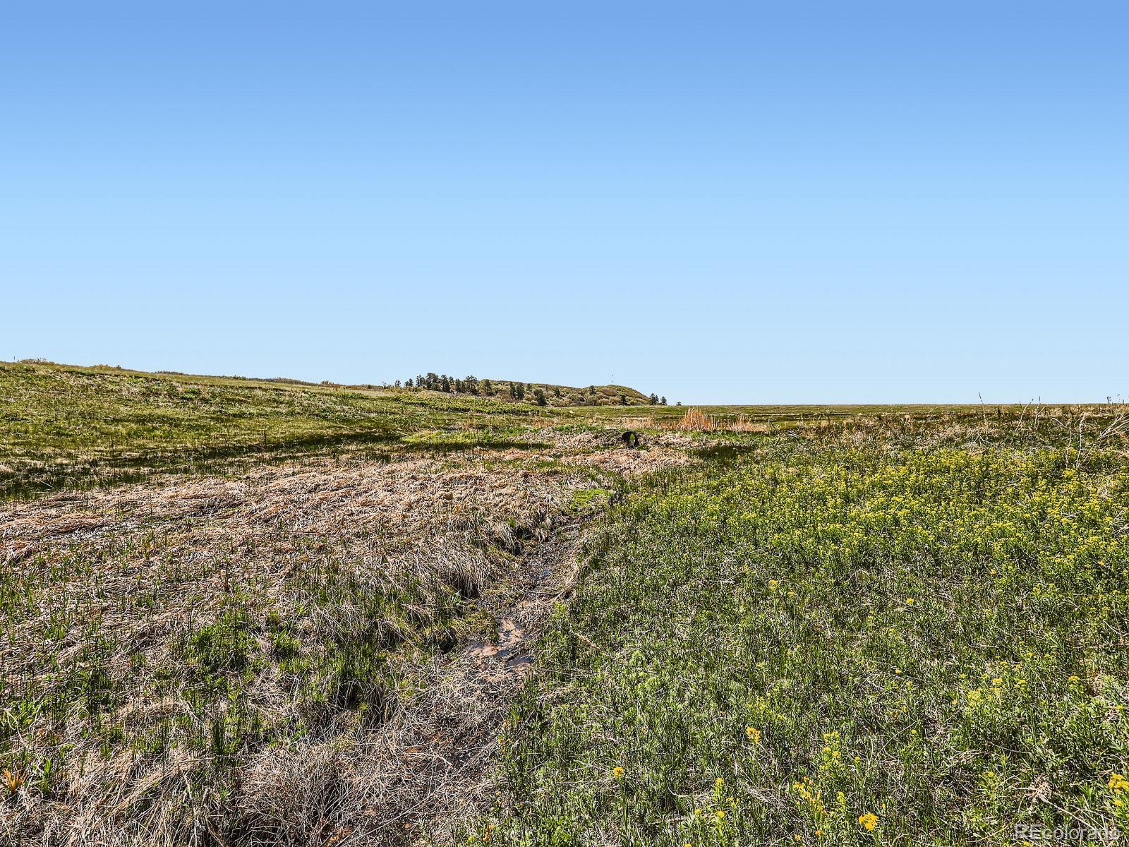 11750 S State Highway 83 Franktown CO 80116