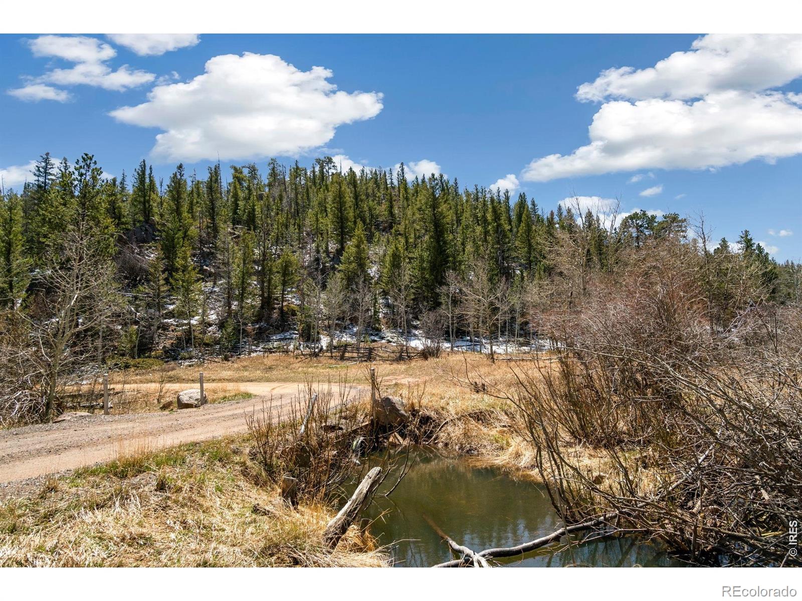 38 Ada Court Red Feather Lakes CO 80545