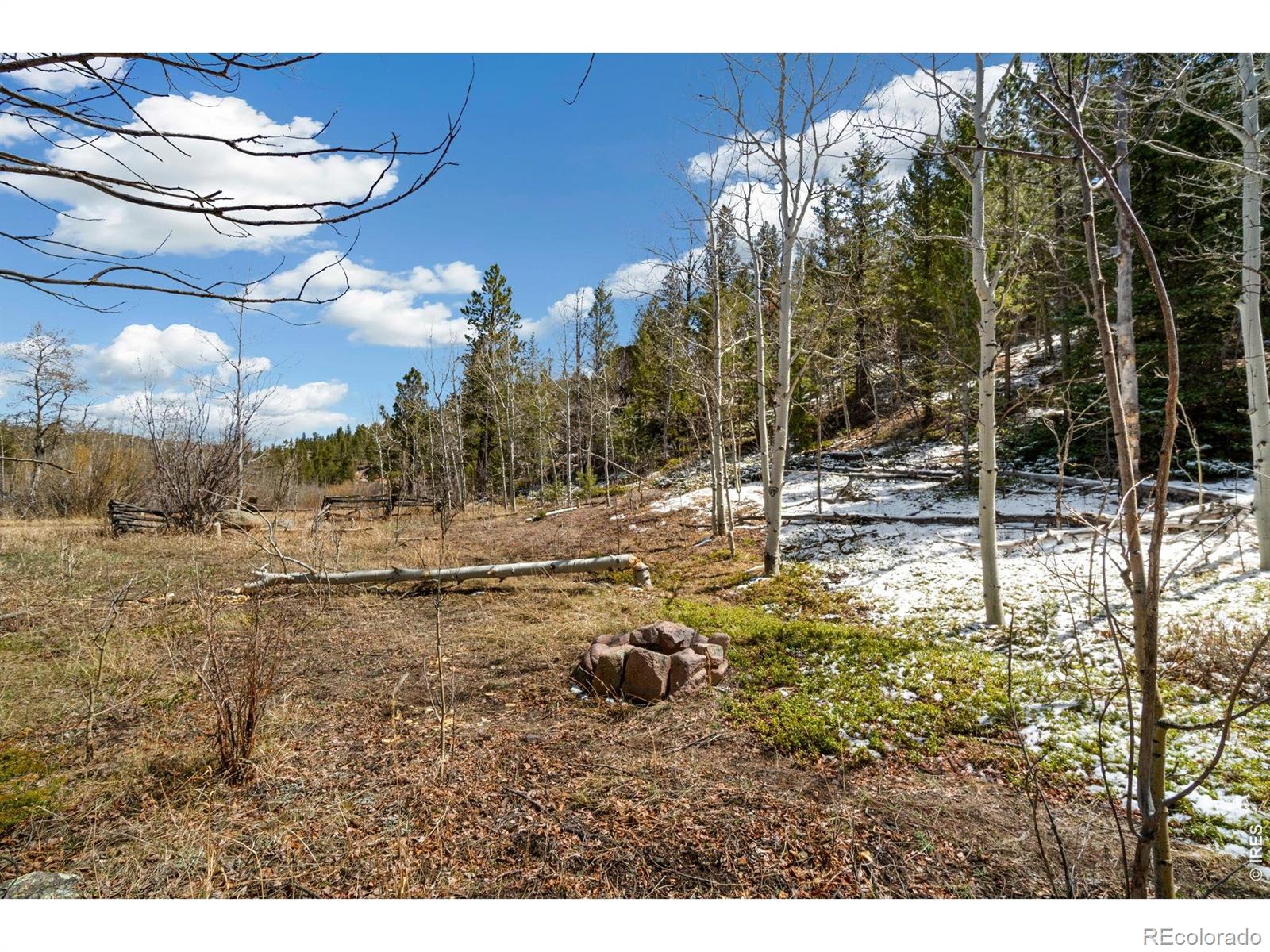 38 Ada Court Red Feather Lakes CO 80545