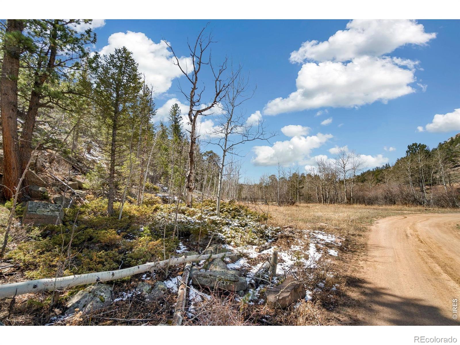 38 Ada Court Red Feather Lakes CO 80545