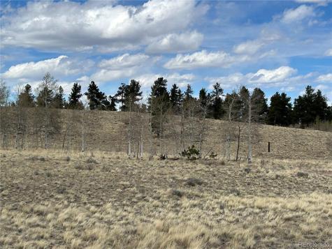 187 Angus Circle Hartsel CO 80449
