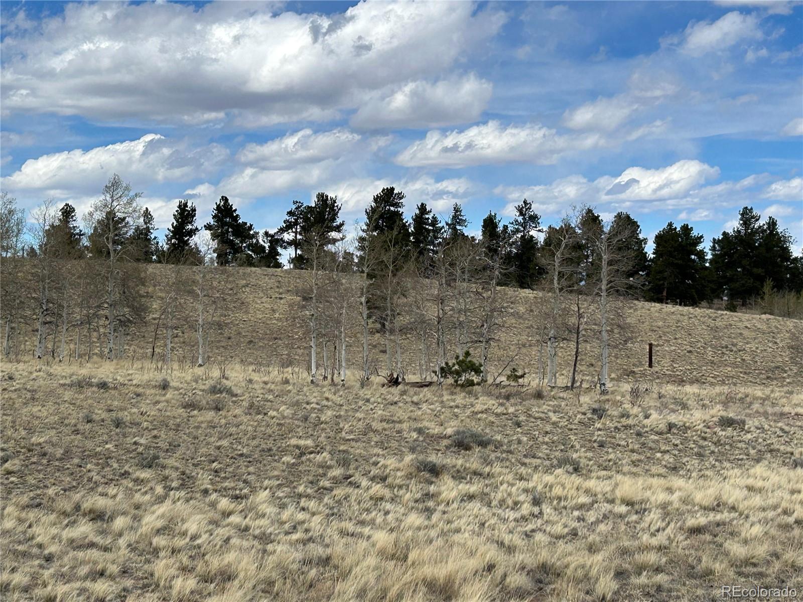 187 Angus Circle Hartsel CO 80449