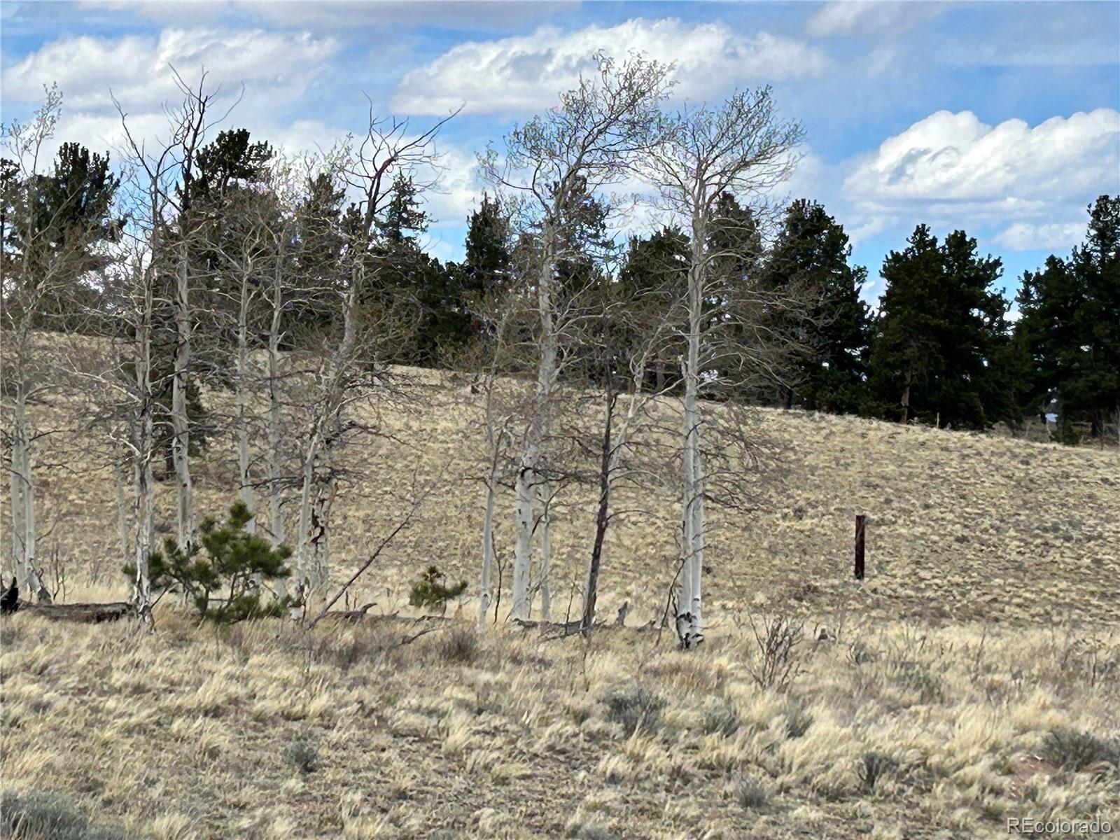 187 Angus Circle Hartsel CO 80449