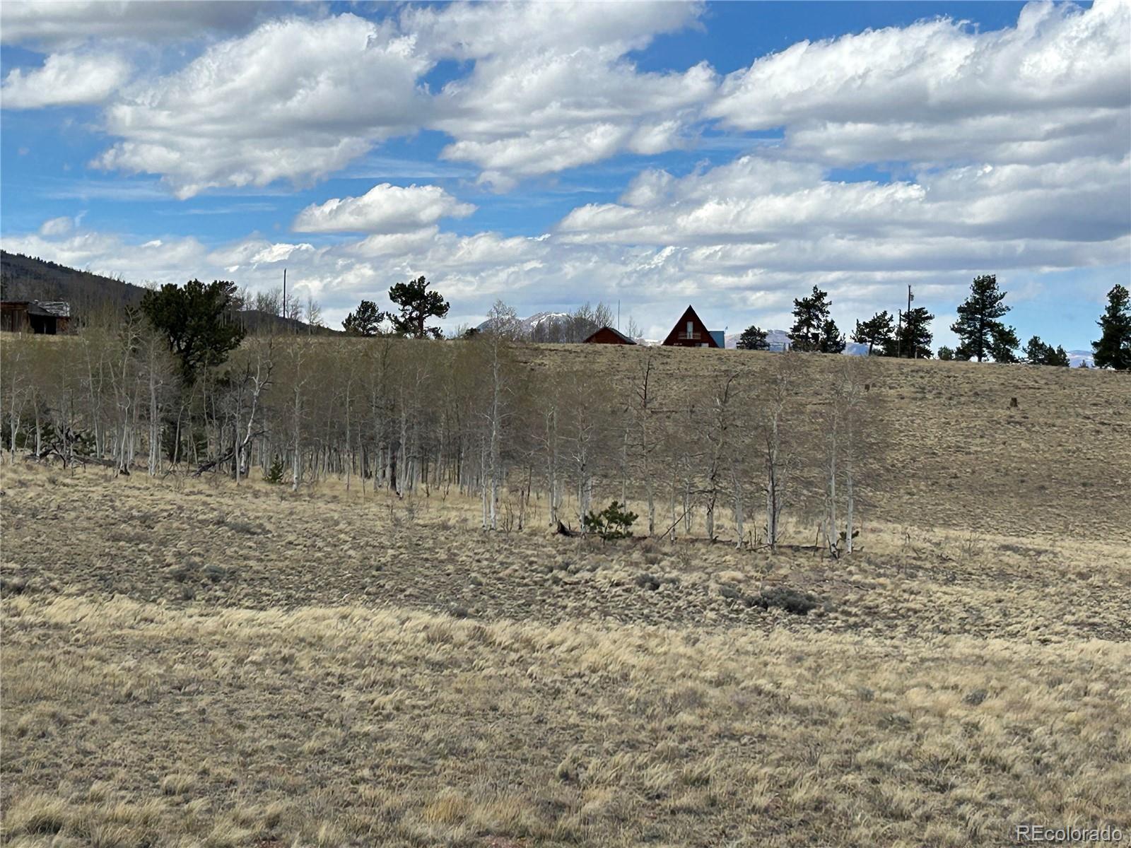 187 Angus Circle Hartsel CO 80449