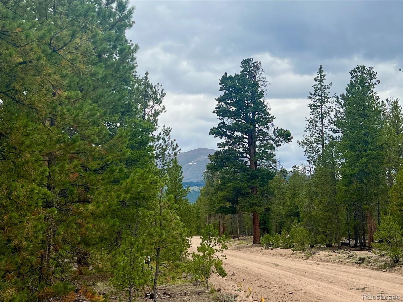 284 Fir Drive Twin Lakes CO 80461