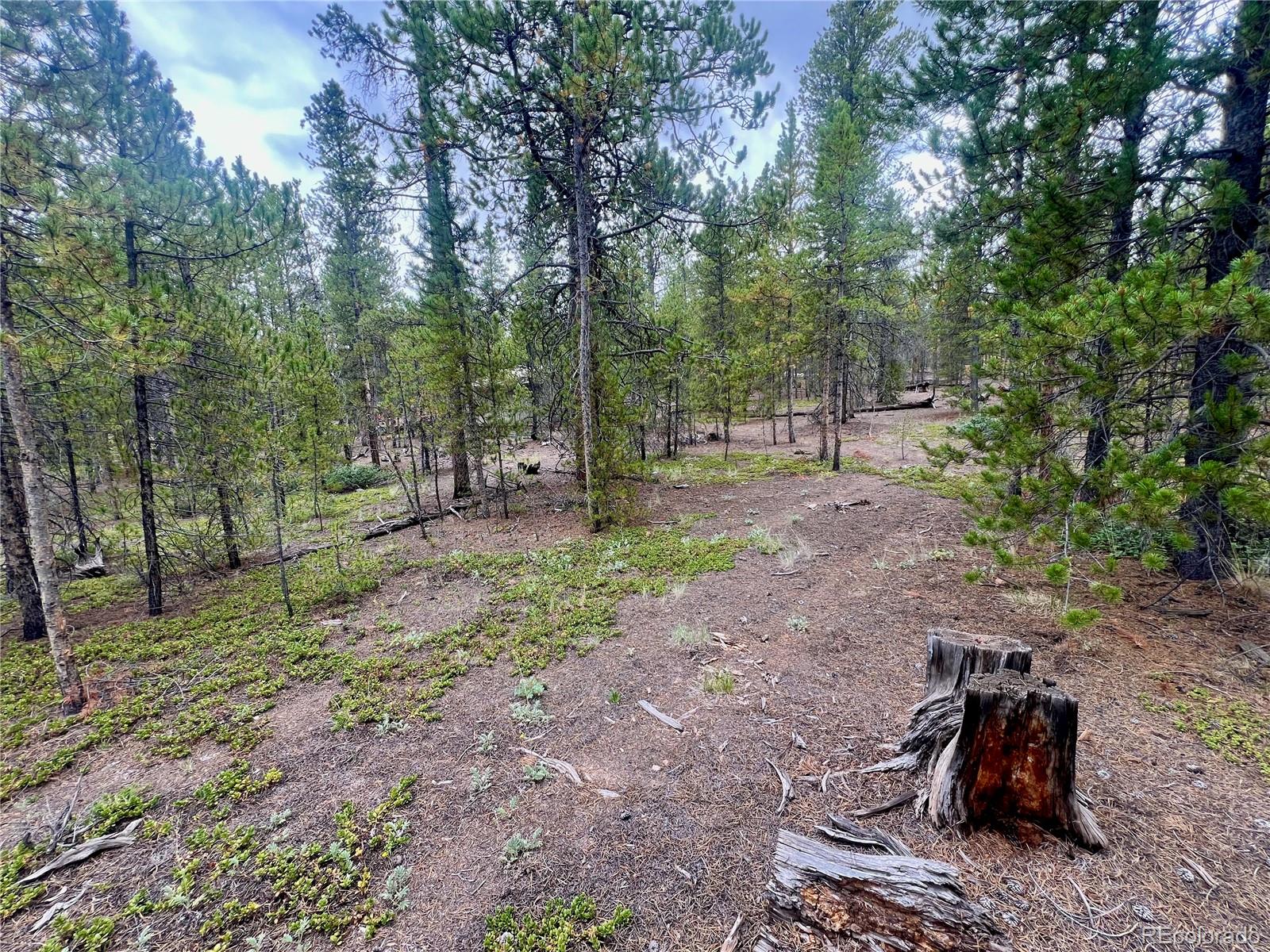 284 Fir Drive Twin Lakes CO 80461
