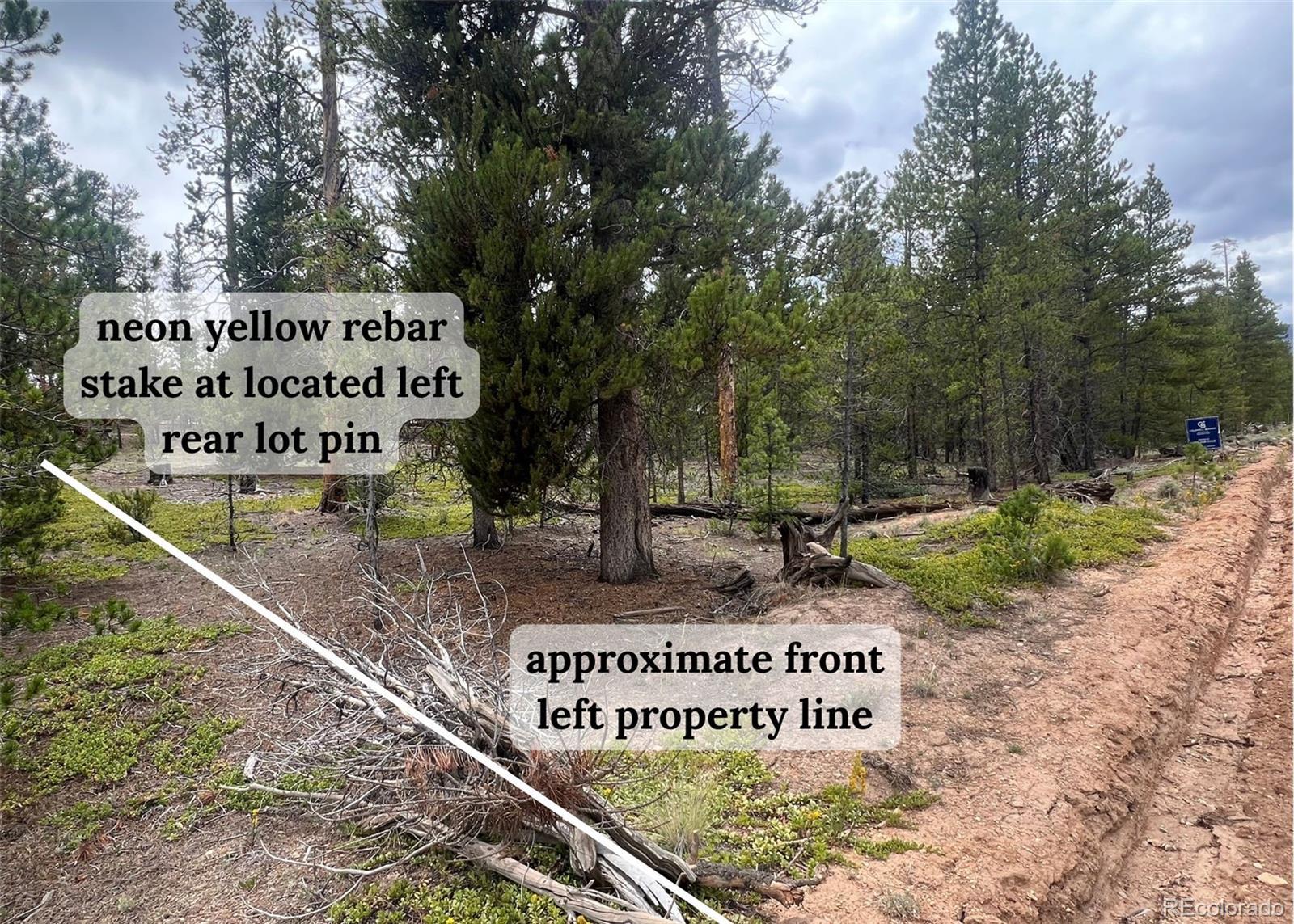 284 Fir Drive Twin Lakes CO 80461