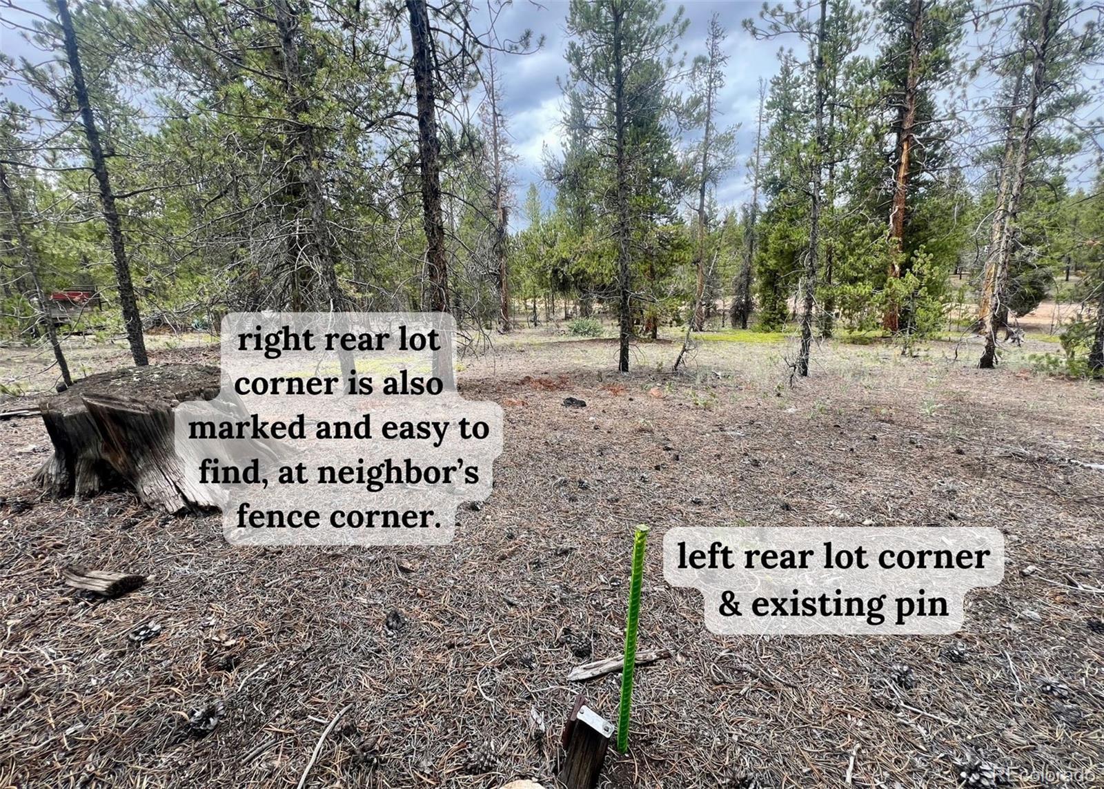 284 Fir Drive Twin Lakes CO 80461