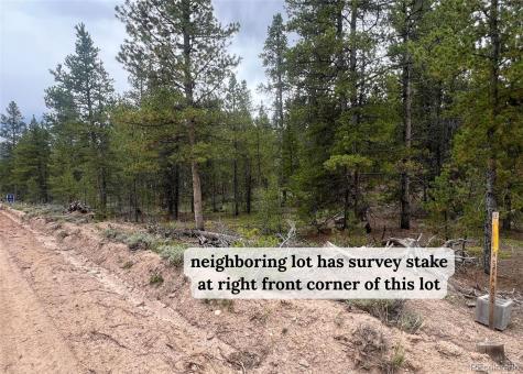 284 Fir Drive Twin Lakes CO 80461