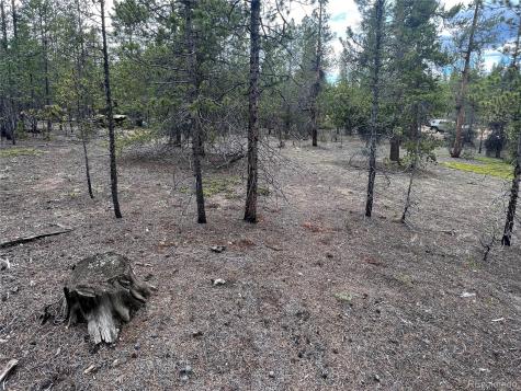 284 Fir Drive Twin Lakes CO 80461