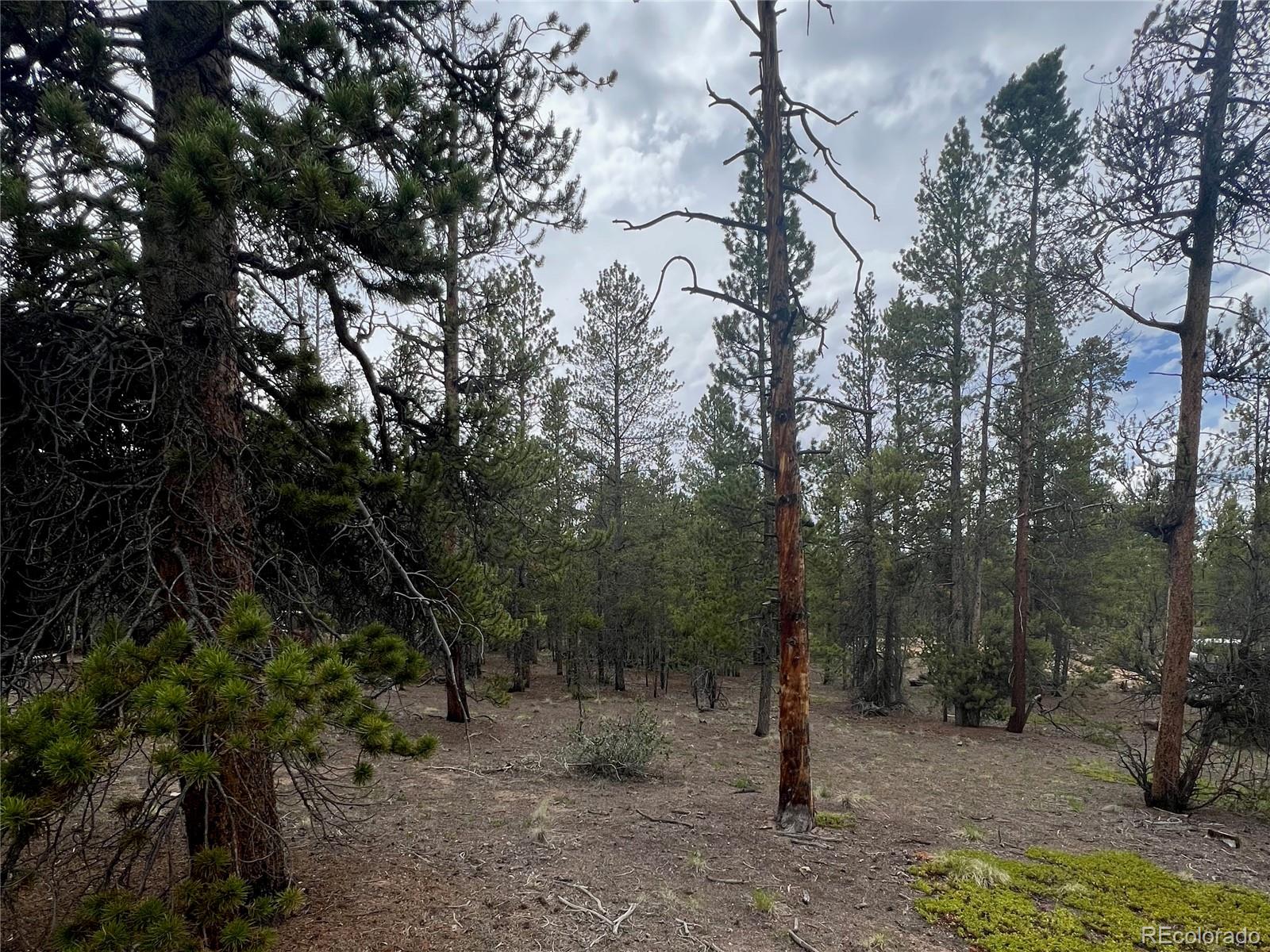 284 Fir Drive Twin Lakes CO 80461