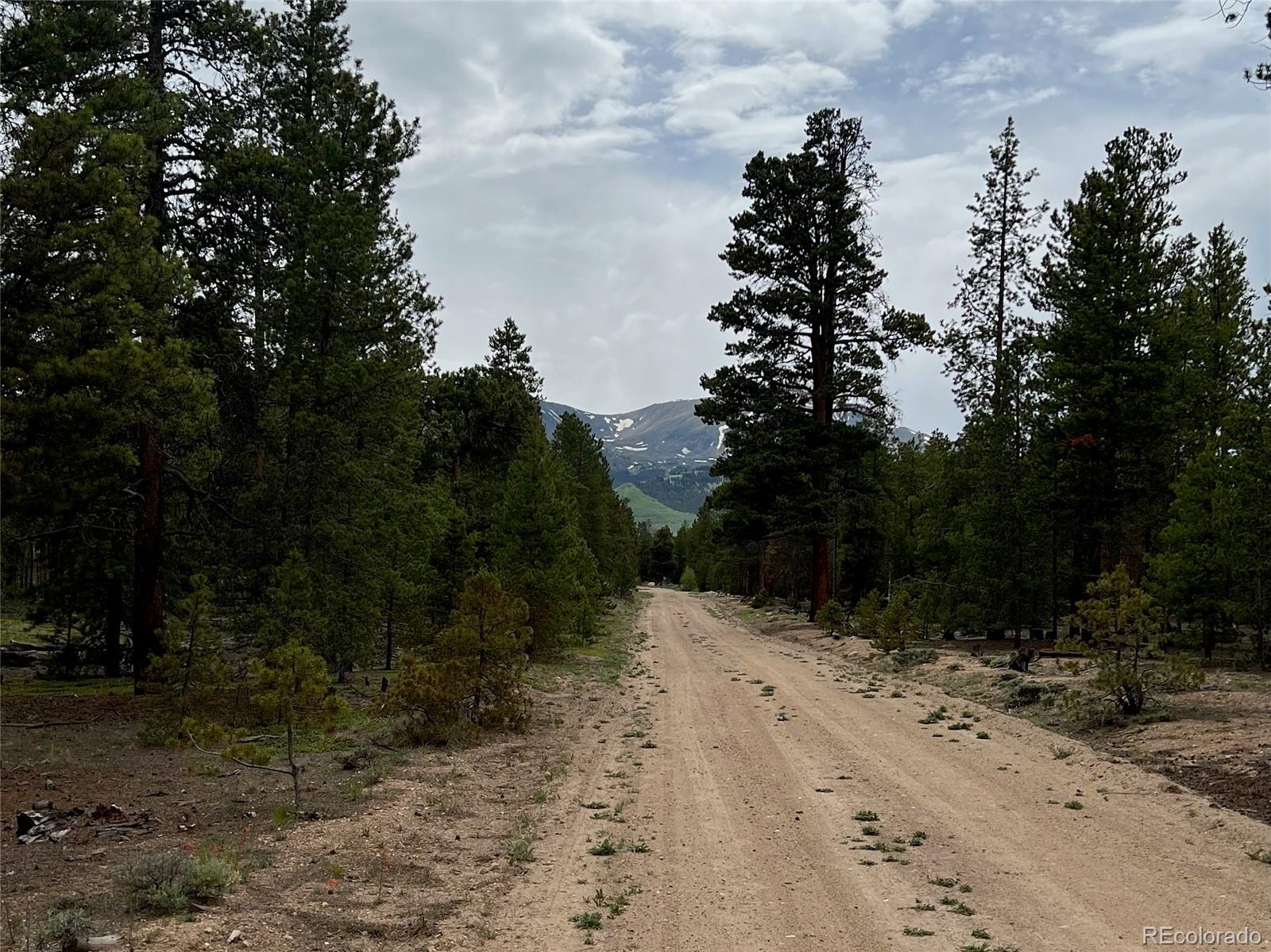 284 Fir Drive Twin Lakes CO 80461