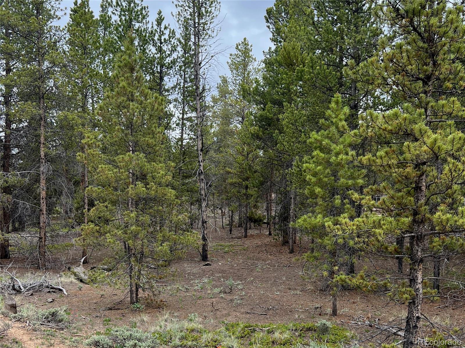 284 Fir Drive Twin Lakes CO 80461