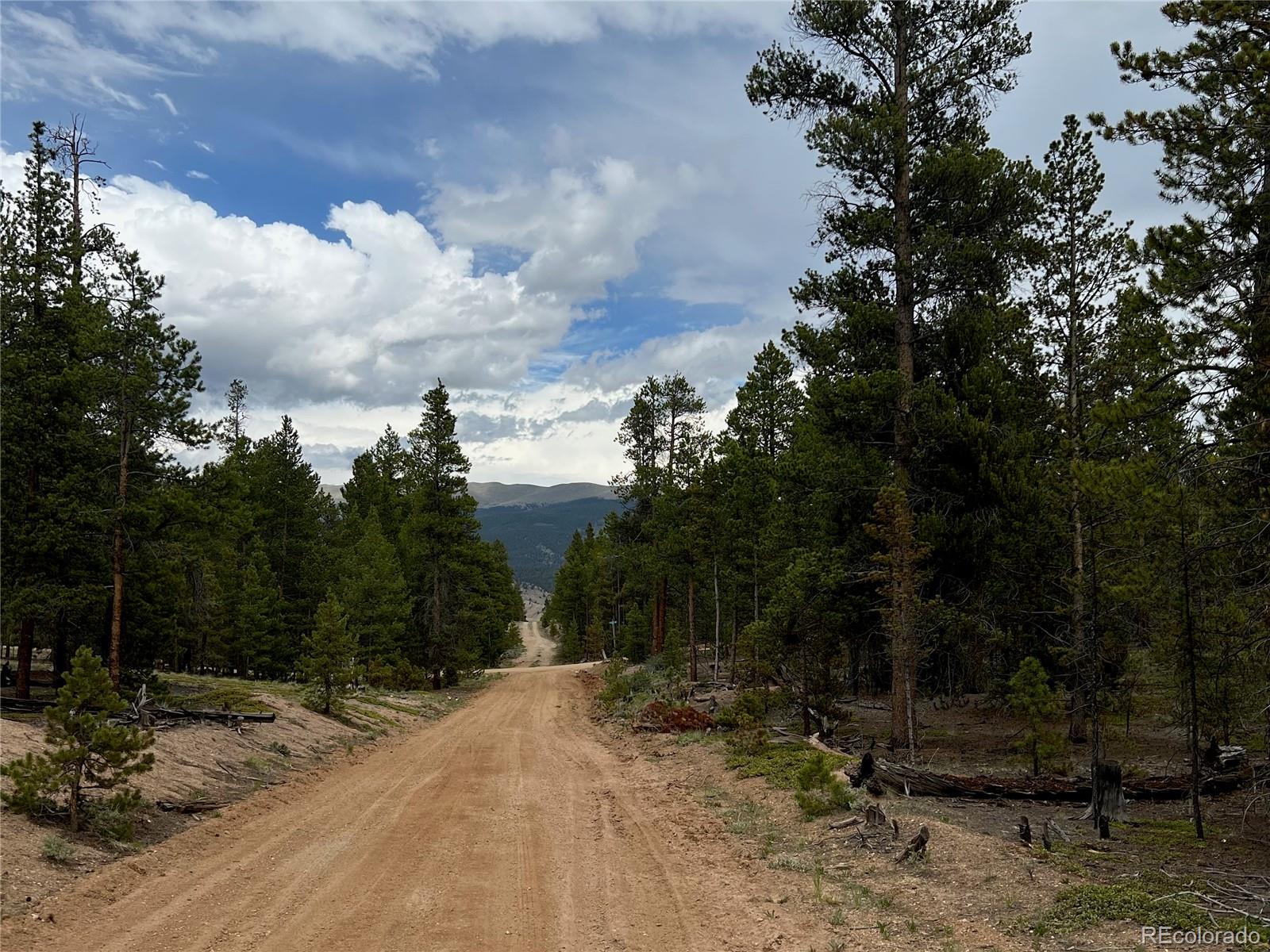 284 Fir Drive Twin Lakes CO 80461