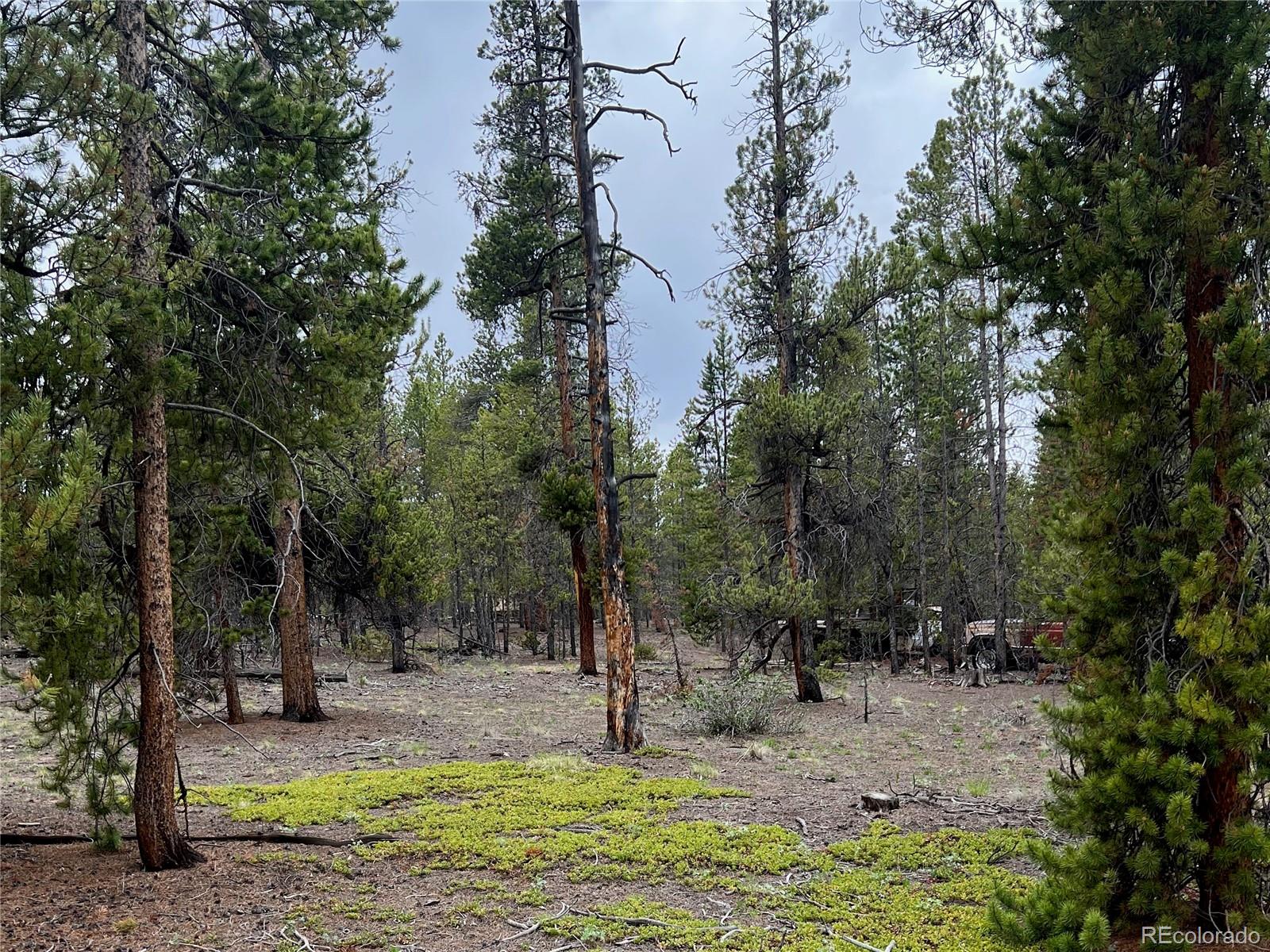 284 Fir Drive Twin Lakes CO 80461