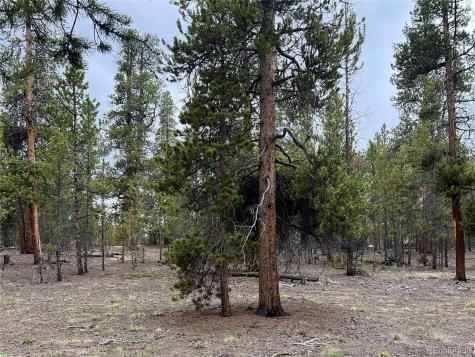 284 Fir Drive Twin Lakes CO 80461