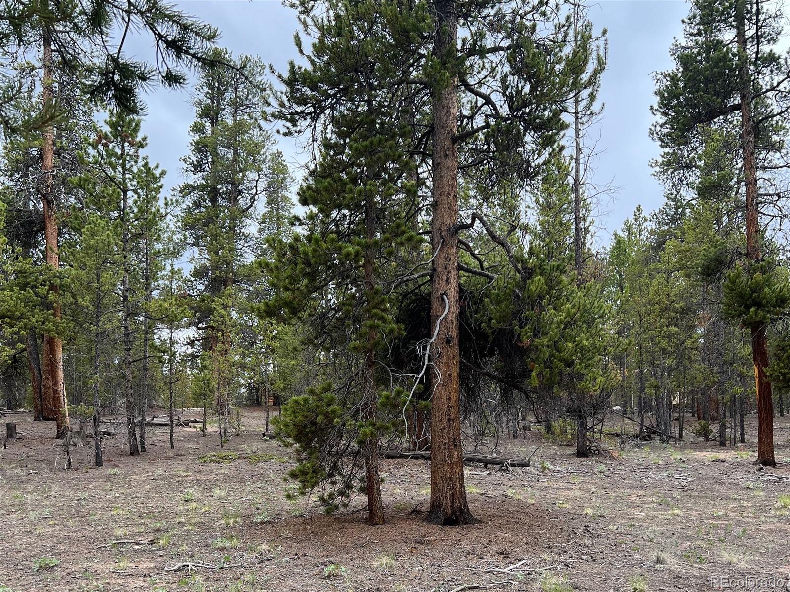 284 Fir Drive Twin Lakes CO 80461