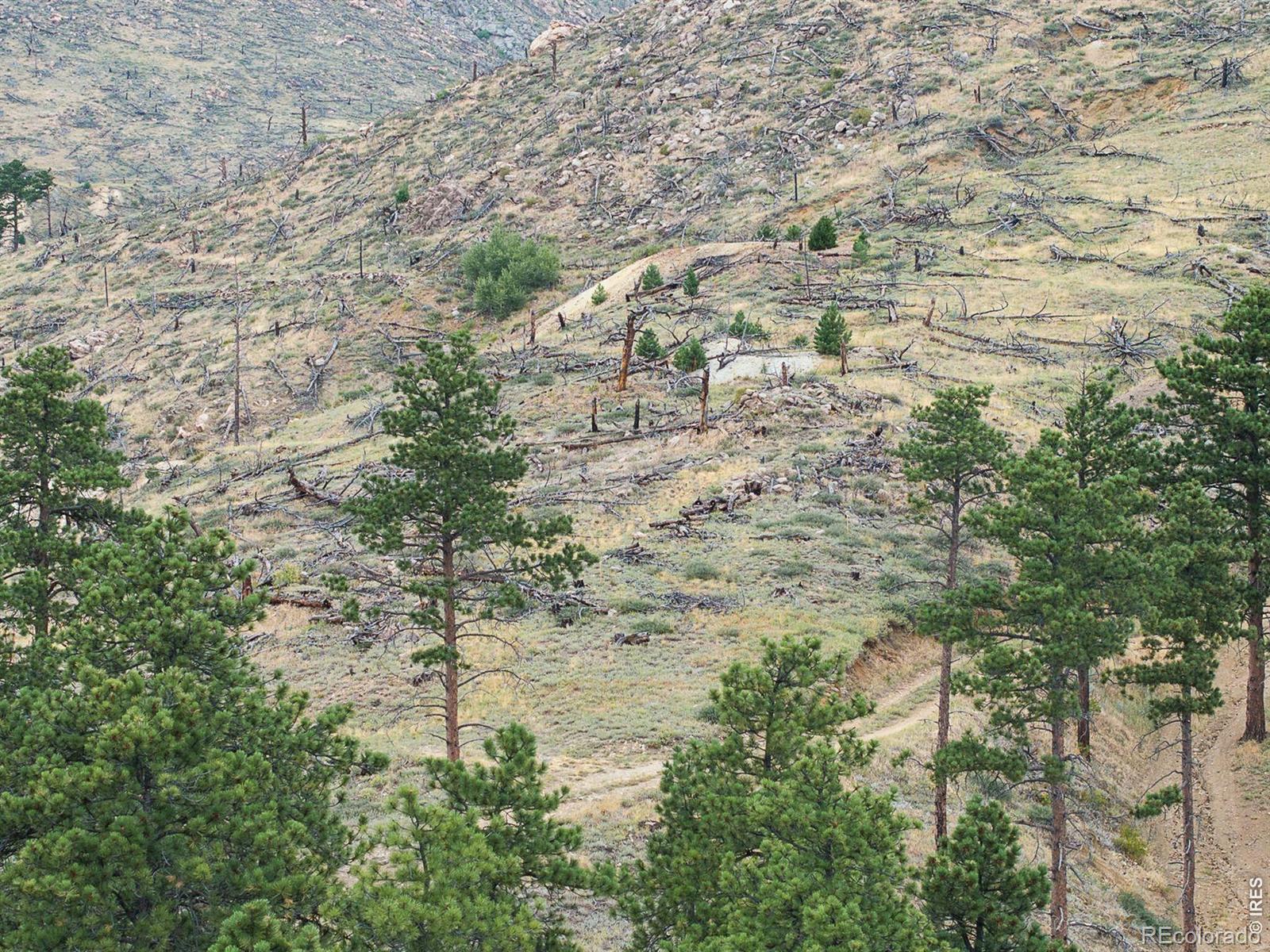 6319 Sunshine Canyon Drive Boulder CO 80302