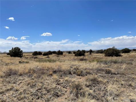 1307 Spanish Creek Road Crestone CO 81131
