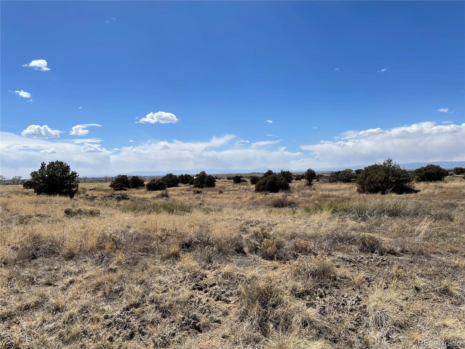 1307 Spanish Creek Road Crestone CO 81131
