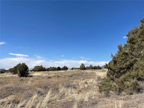 1307 Spanish Creek Road Crestone CO 81131