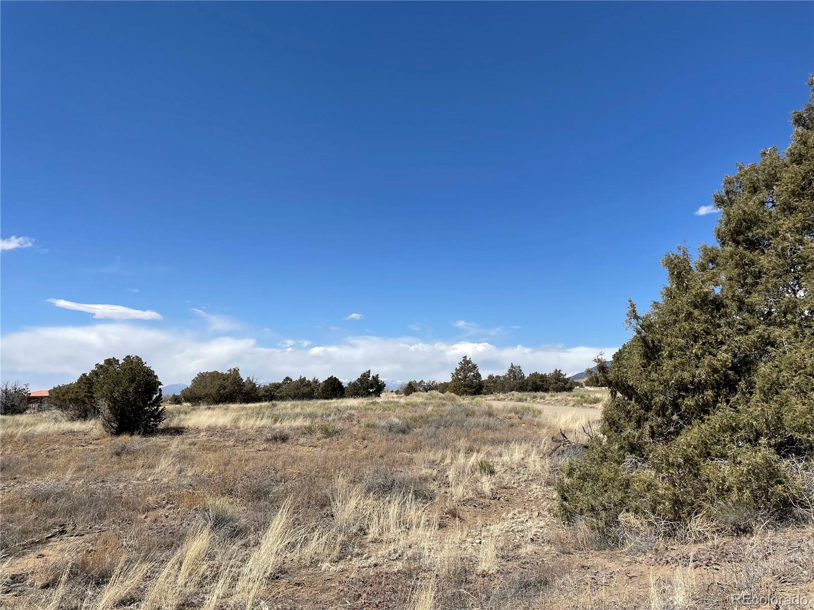 1307 Spanish Creek Road Crestone CO 81131
