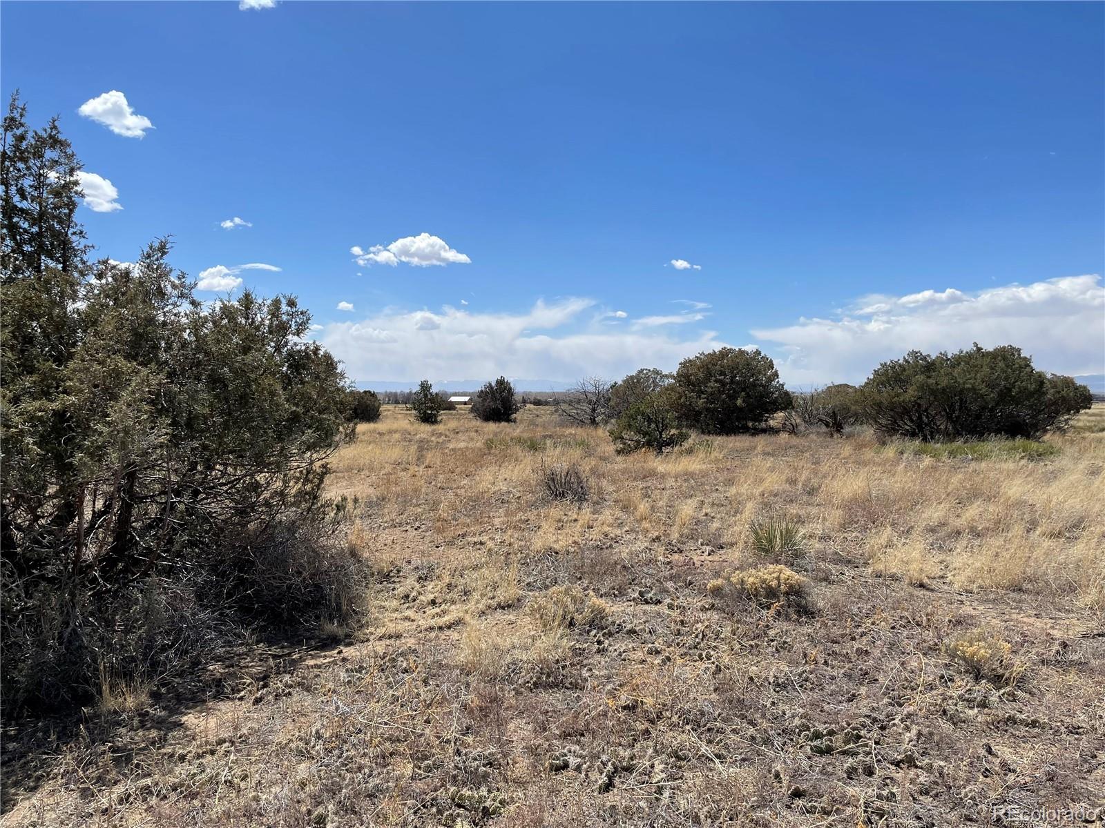 1307 Spanish Creek Road Crestone CO 81131
