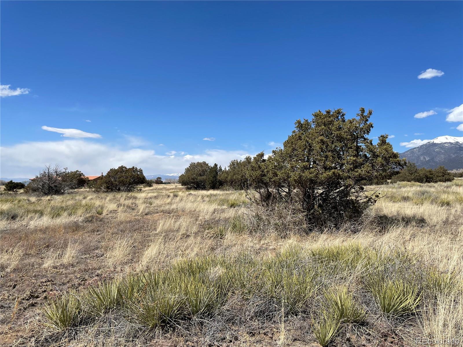 1307 Spanish Creek Road Crestone CO 81131