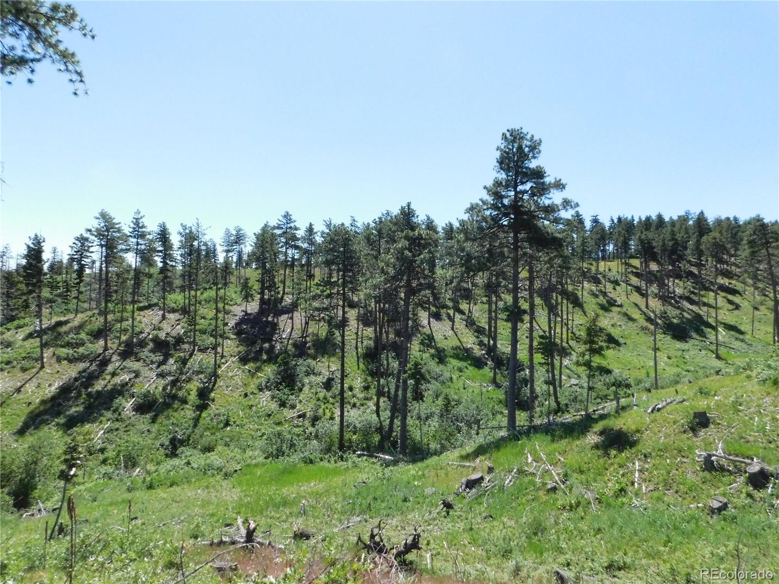 8249 Yuma Circle Larkspur CO 80118
