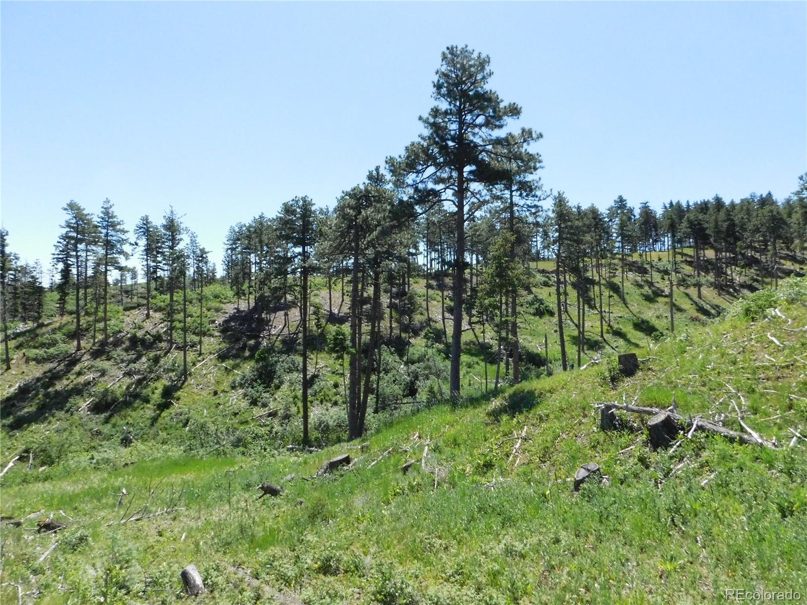 8249 Yuma Circle Larkspur CO 80118