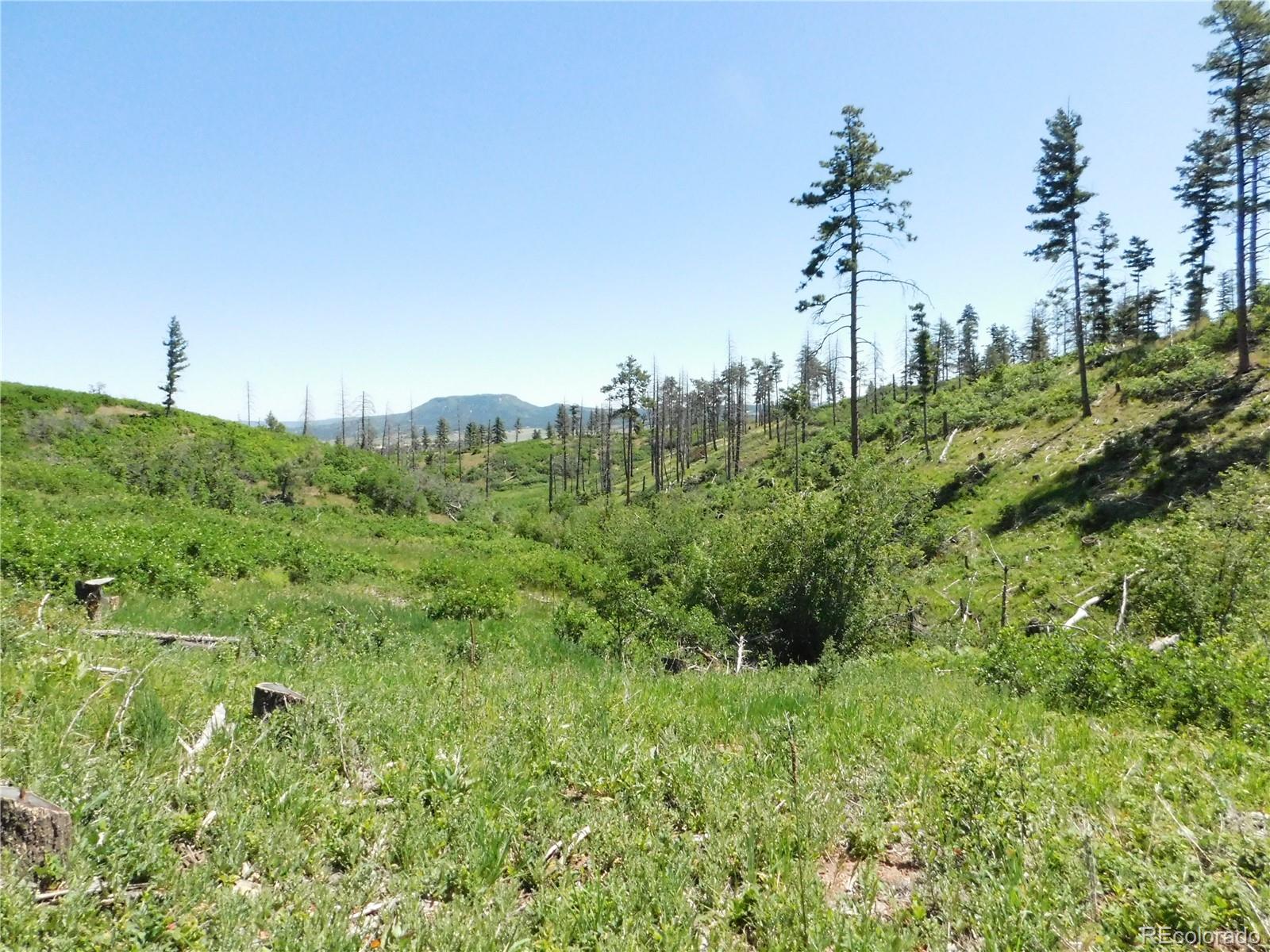 8249 Yuma Circle Larkspur CO 80118