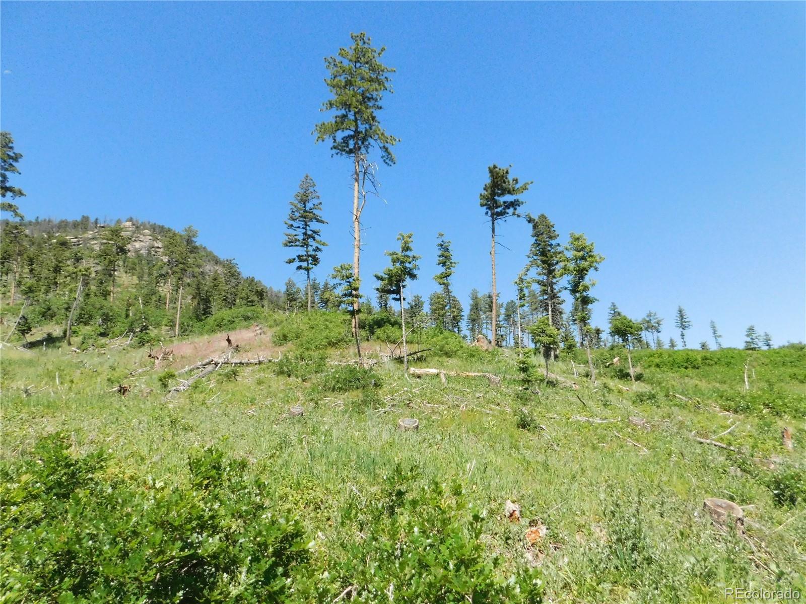 8249 Yuma Circle Larkspur CO 80118