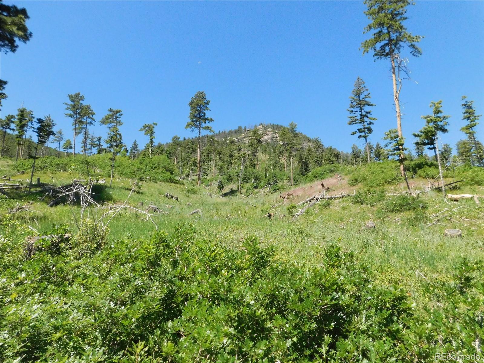 8249 Yuma Circle Larkspur CO 80118