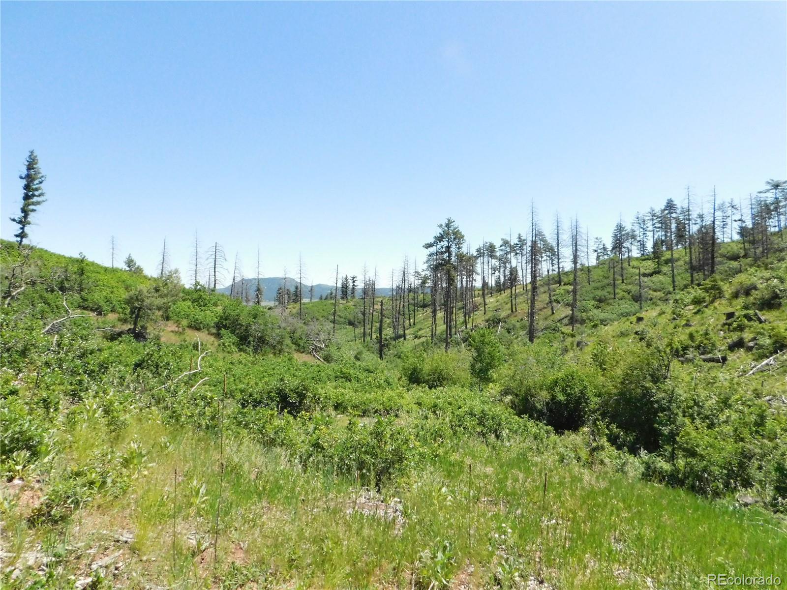 8249 Yuma Circle Larkspur CO 80118