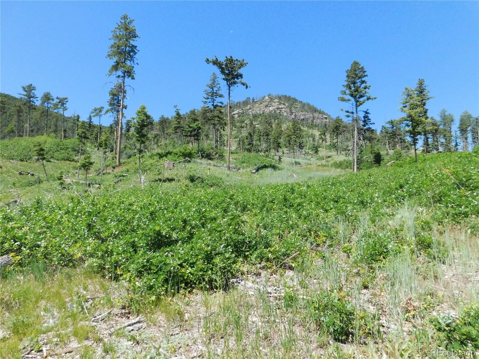 8249 Yuma Circle Larkspur CO 80118