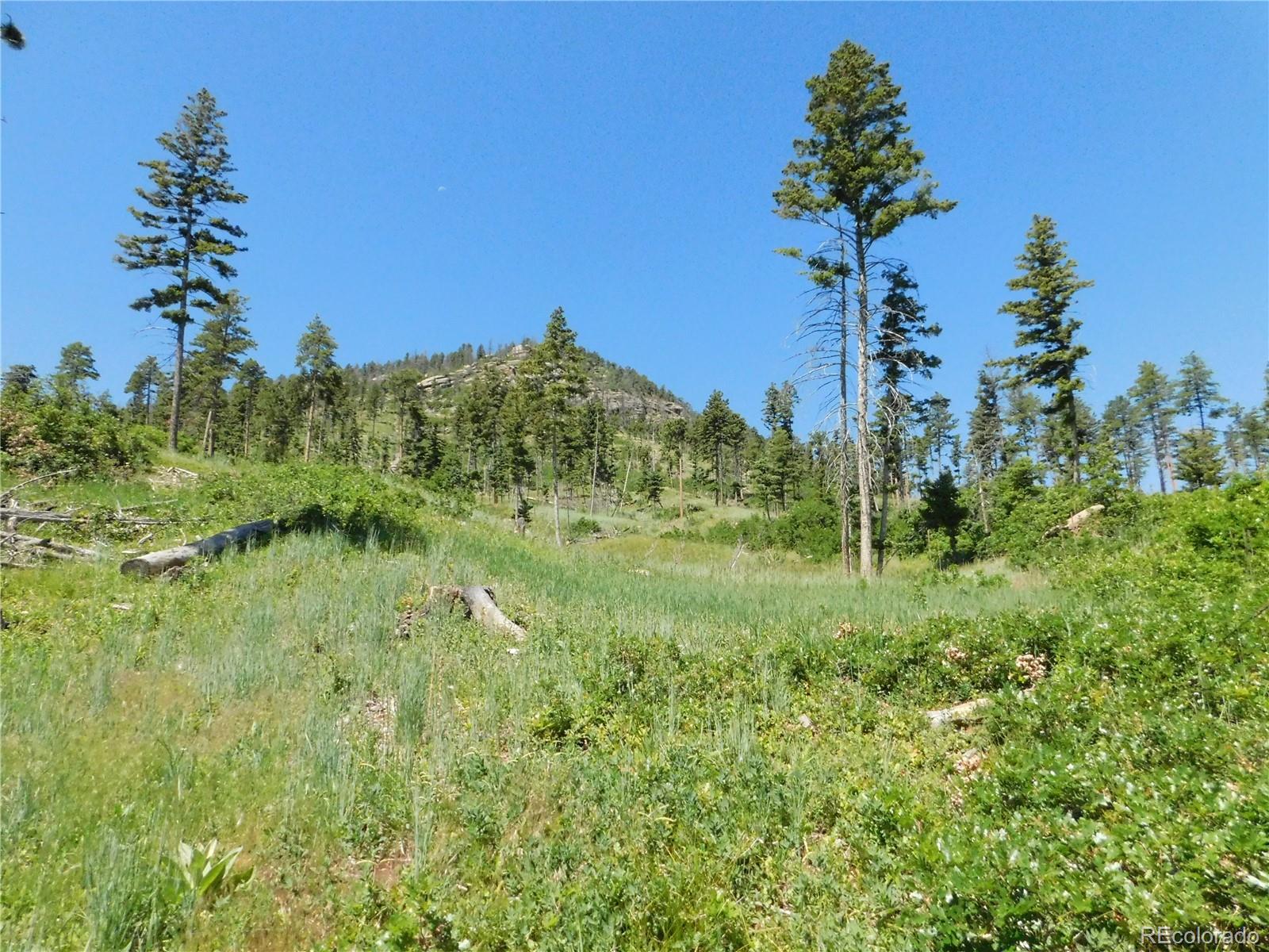 8249 Yuma Circle Larkspur CO 80118