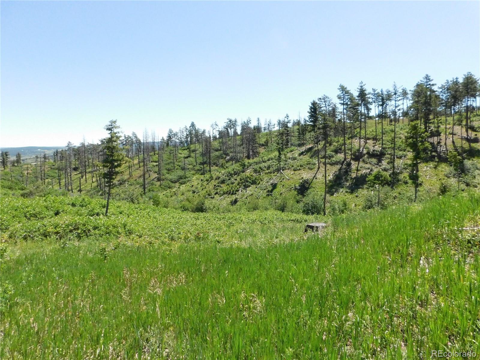 8249 Yuma Circle Larkspur CO 80118