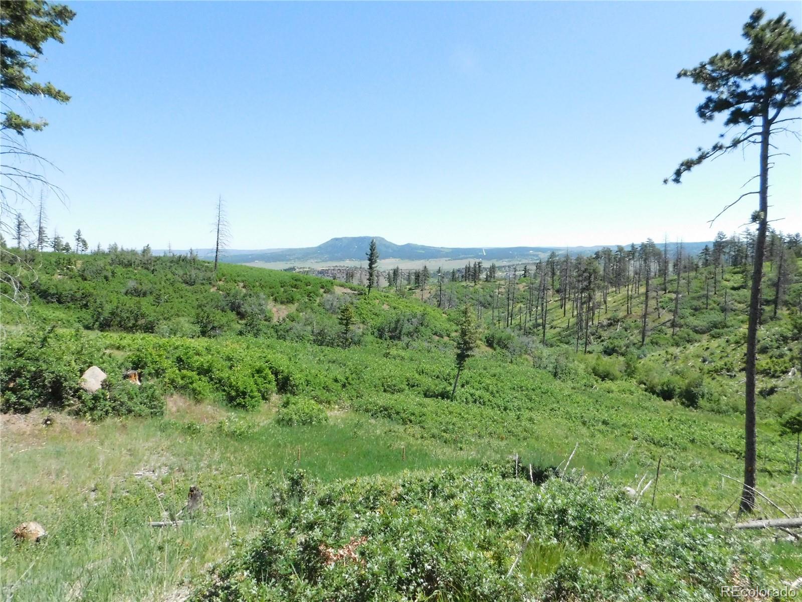 8249 Yuma Circle Larkspur CO 80118