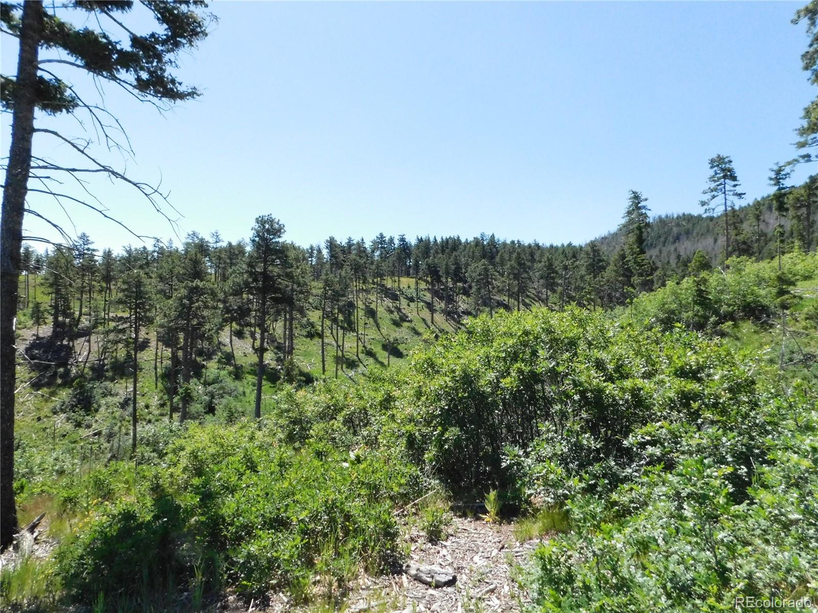 8249 Yuma Circle Larkspur CO 80118