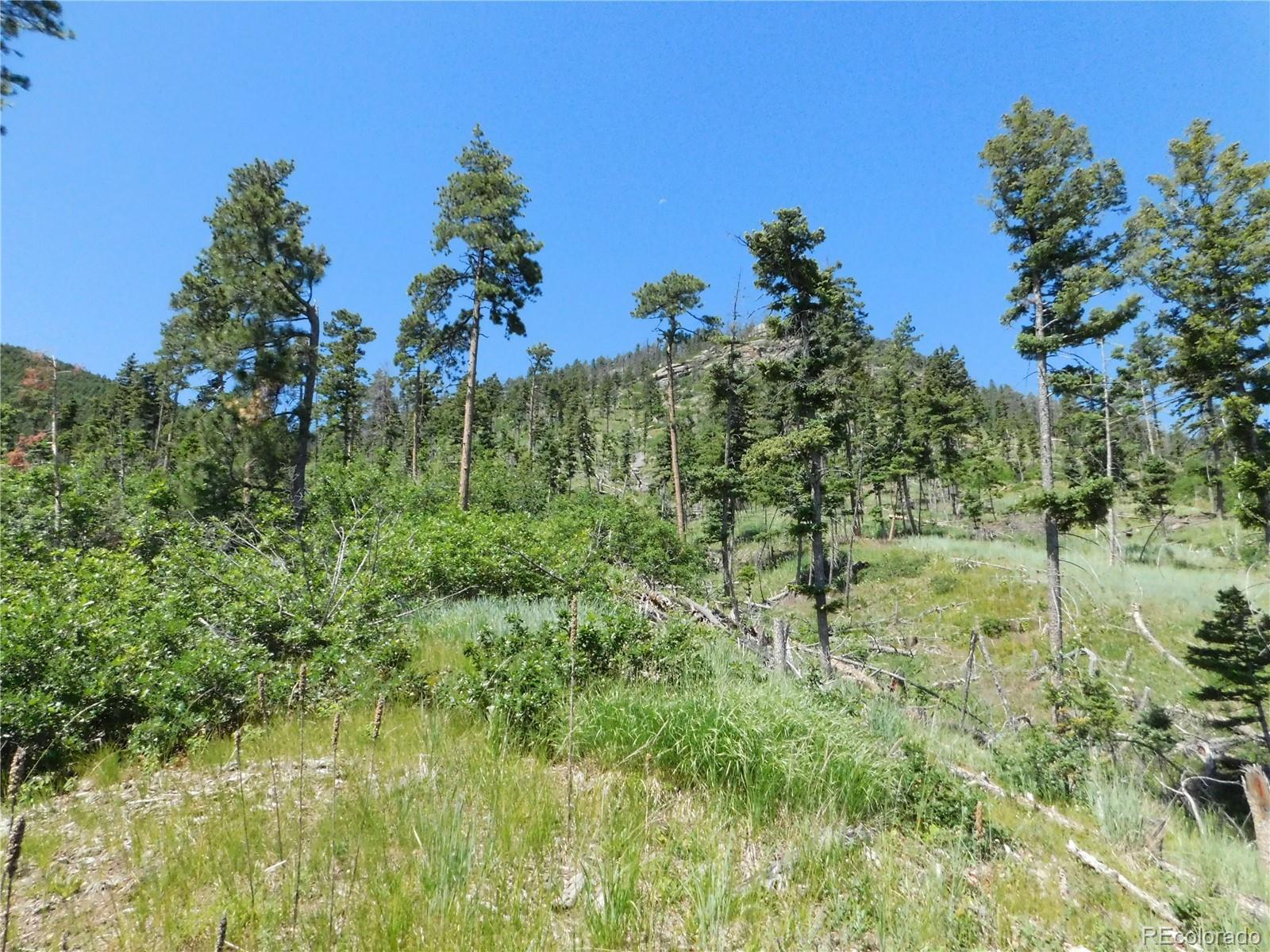 8249 Yuma Circle Larkspur CO 80118