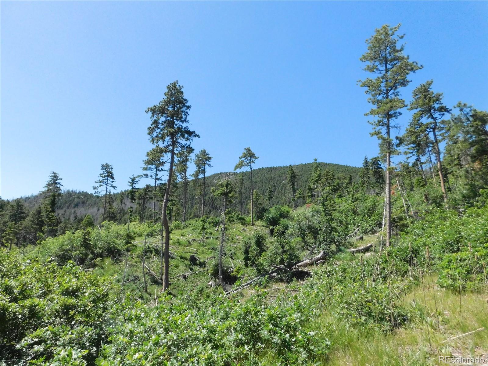 8249 Yuma Circle Larkspur CO 80118