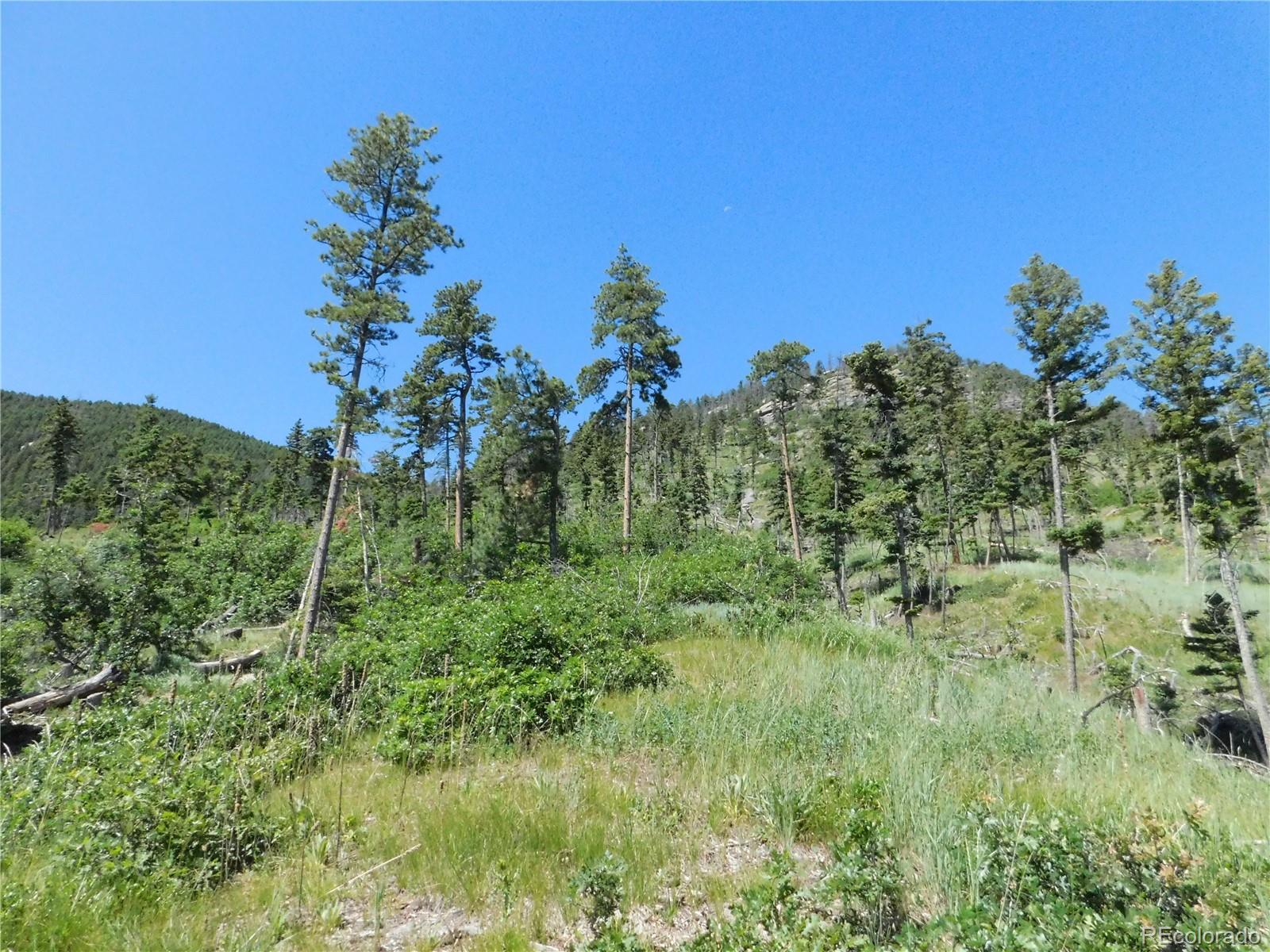 8249 Yuma Circle Larkspur CO 80118