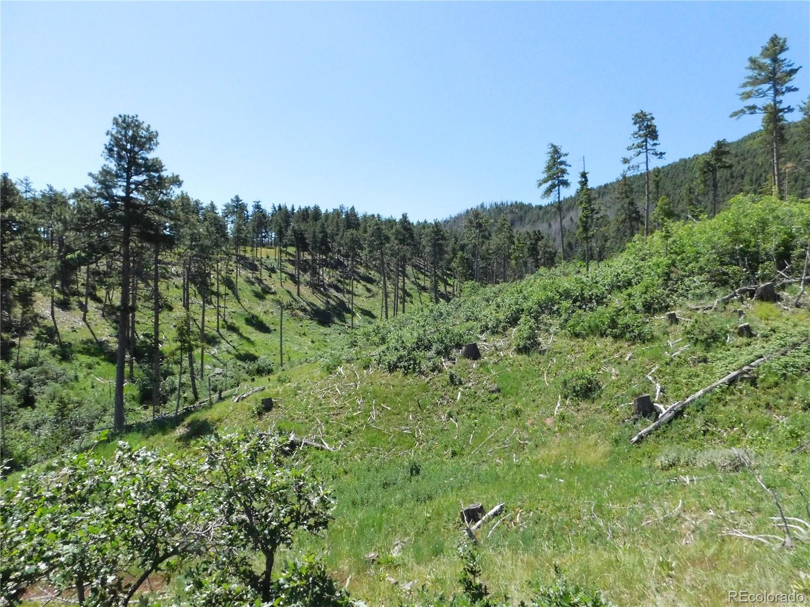 8249 Yuma Circle Larkspur CO 80118
