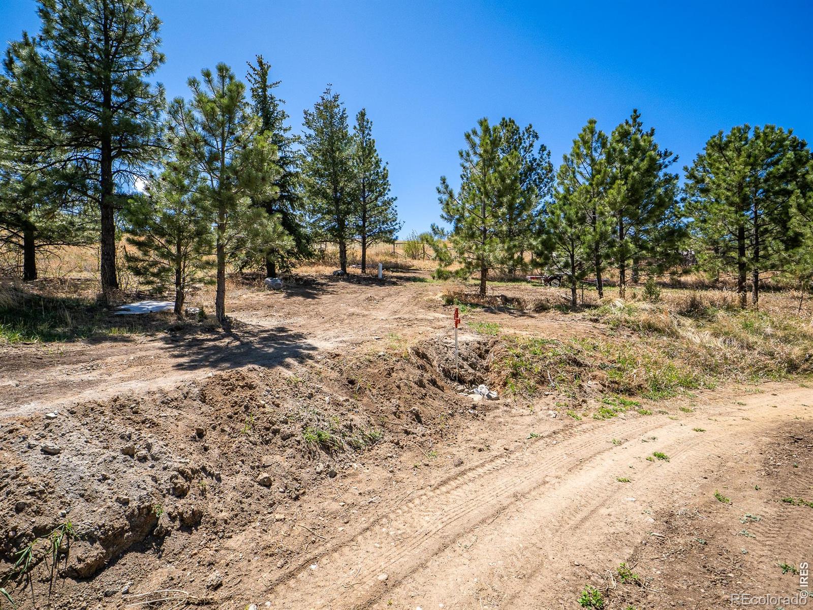 1830 Palisade Mountain Drive Drake CO 80515