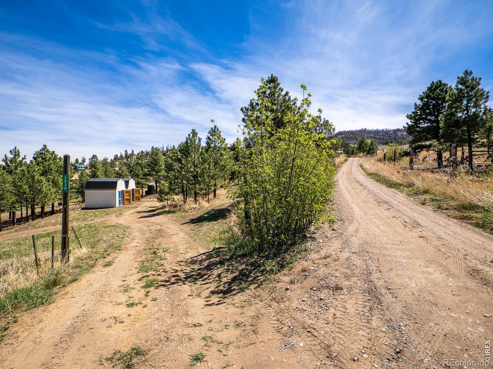 1830 Palisade Mountain Drive Drake CO 80515