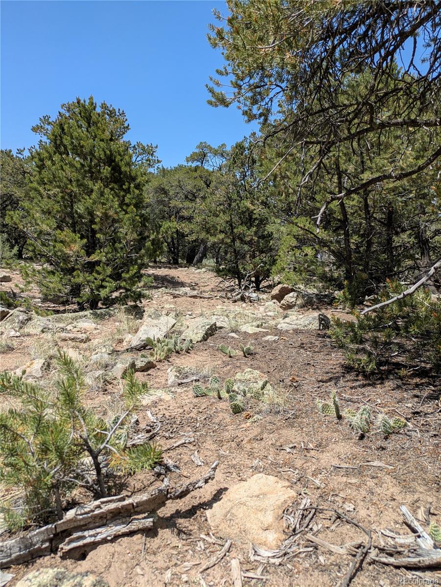 1799 Lone Pine Way Crestone CO 81131