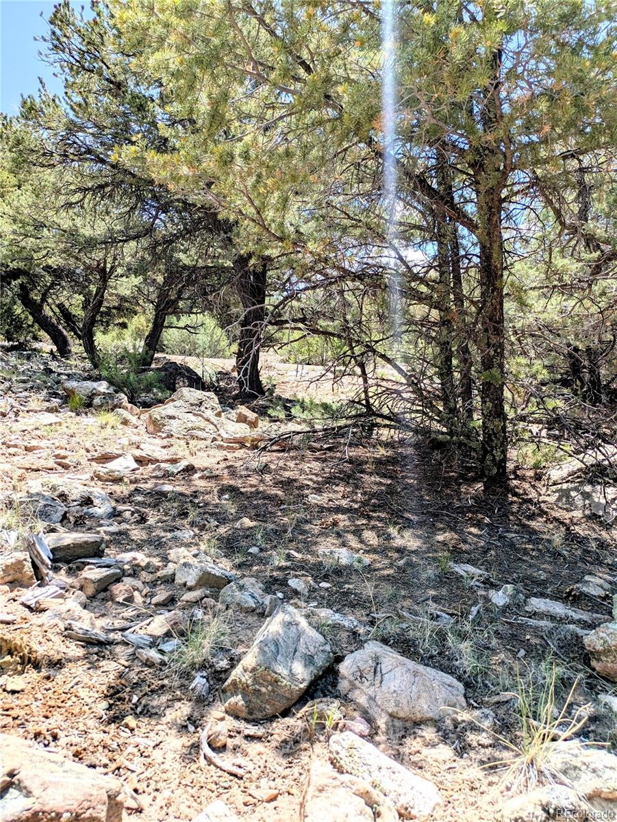 1799 Lone Pine Way Crestone CO 81131