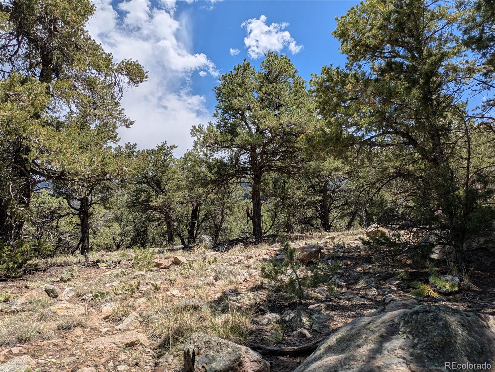 1799 Lone Pine Way Crestone CO 81131