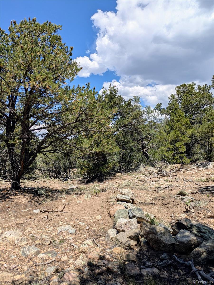 1799 Lone Pine Way Crestone CO 81131